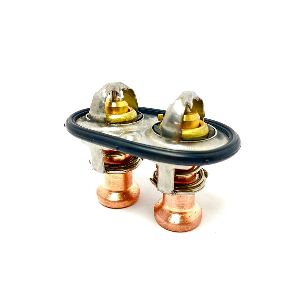 Mustang Cooling System